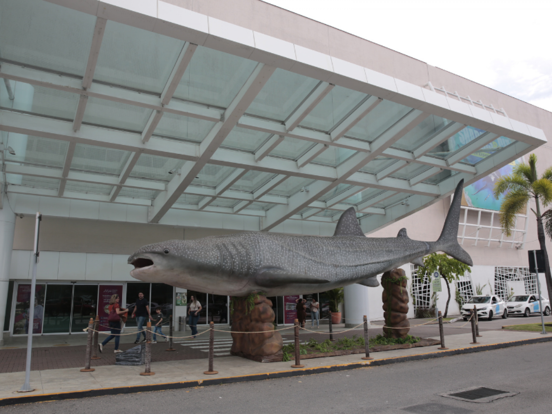 Transfer gratuito da Fenearte estará na Diagmax